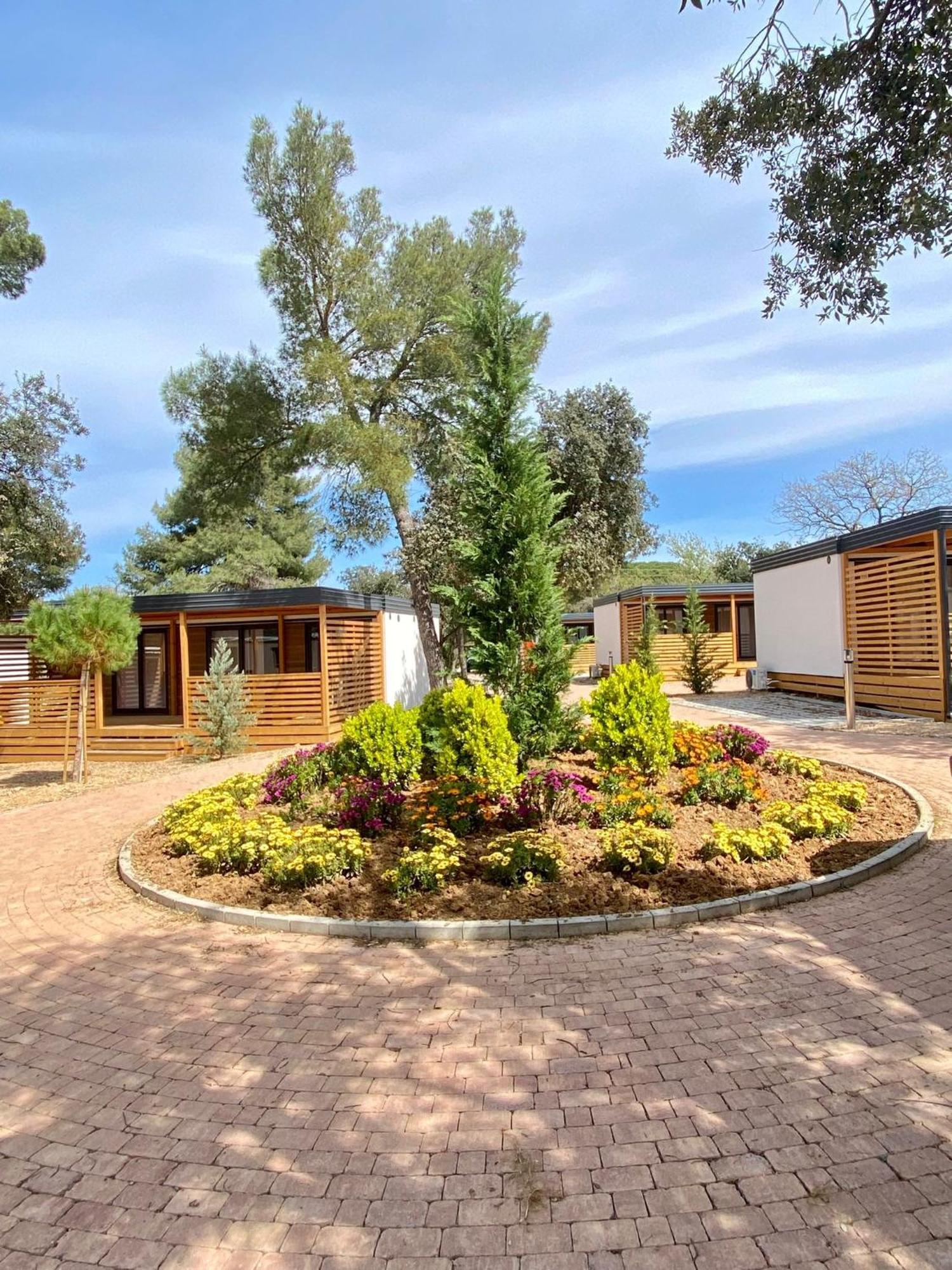 Mobile Homes Malu بيوغْغاد نا موغو المظهر الخارجي الصورة